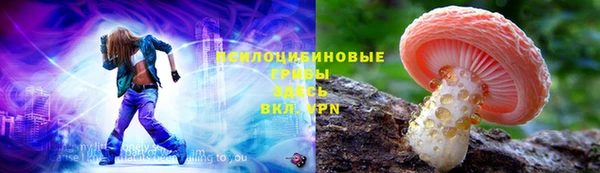молекула духа Лабытнанги
